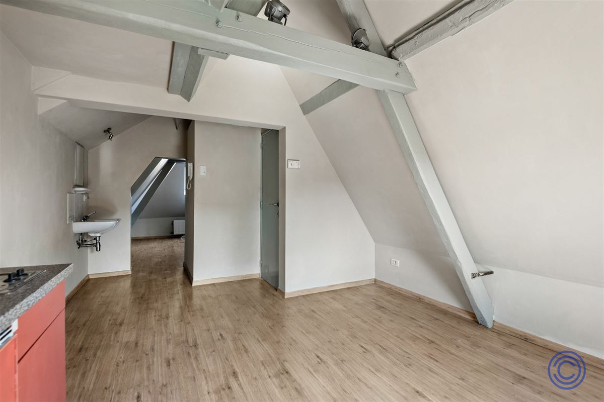 Cozy studio met uniek uitzicht, middenin de stad!