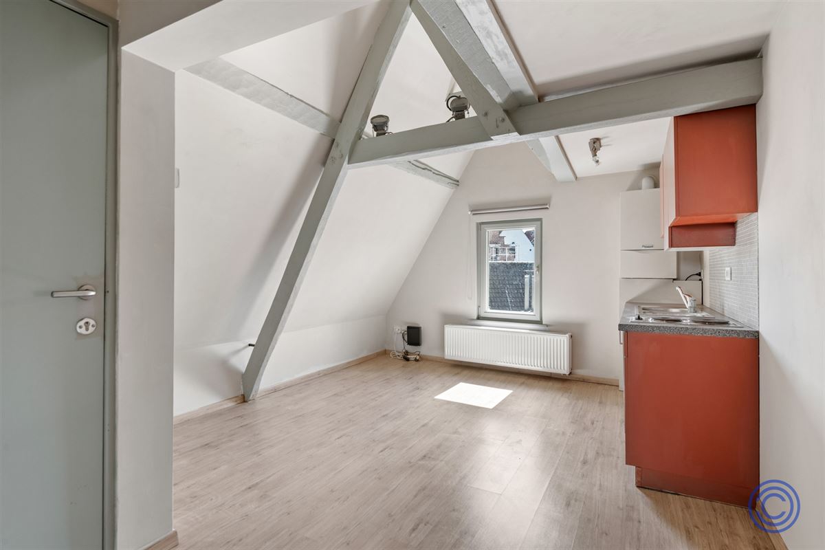 Cozy studio met uniek uitzicht, middenin de stad!