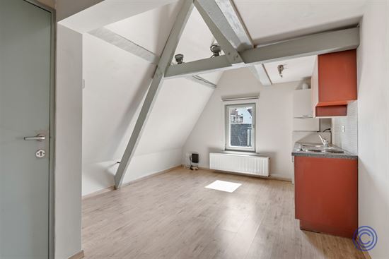 Cozy studio met uniek uitzicht, middenin de stad!