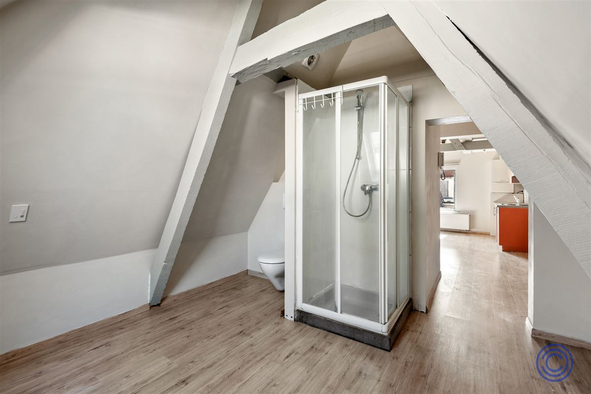 Cozy studio met uniek uitzicht, middenin de stad!
