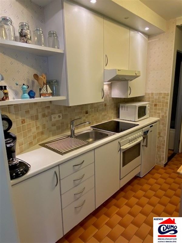 Gemeubeld appartement met 1 slaapkamer en zeezicht