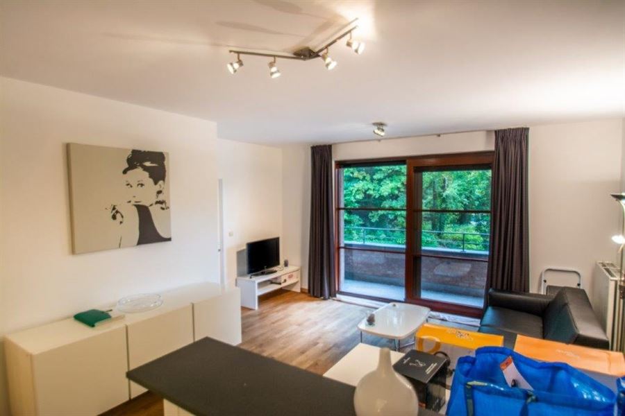 Furnished apartment close from blvd du Souverain