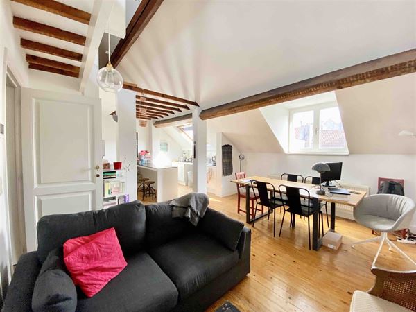 Apartment near Place Stéphanie