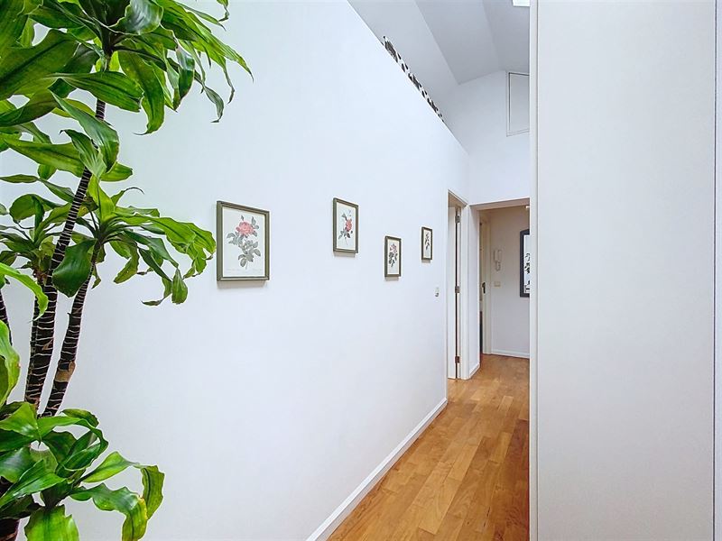 Near Stephanie Louise Duplex penthouse with terrace