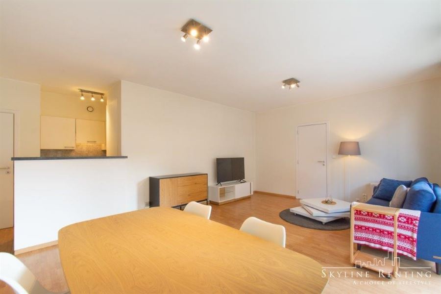 Furnished apartment in the European district