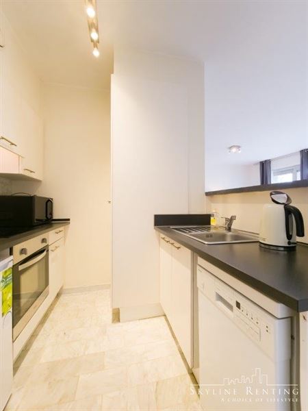 Furnished apartment in the European district