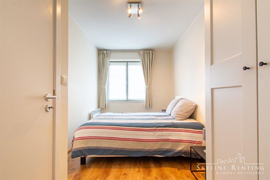 Furnished apartment in the European district