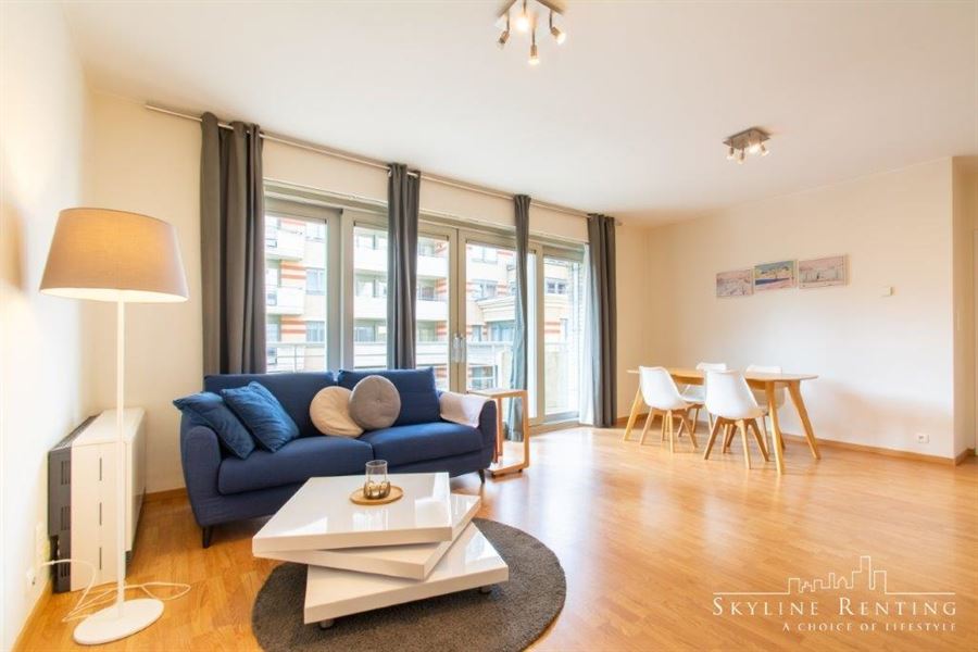 Furnished apartment in the European district