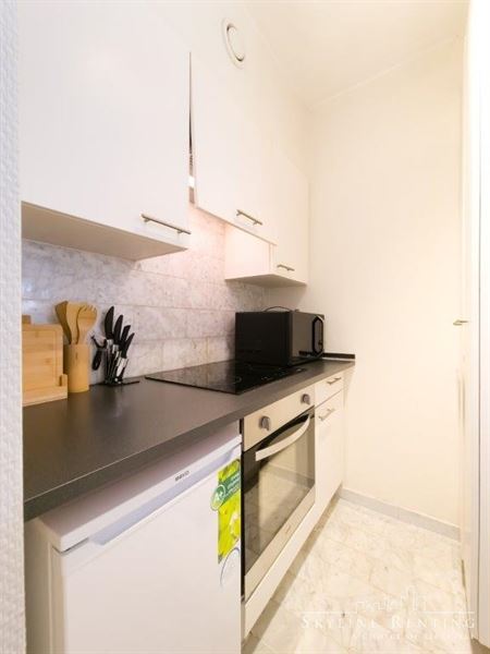 Furnished apartment in the European district