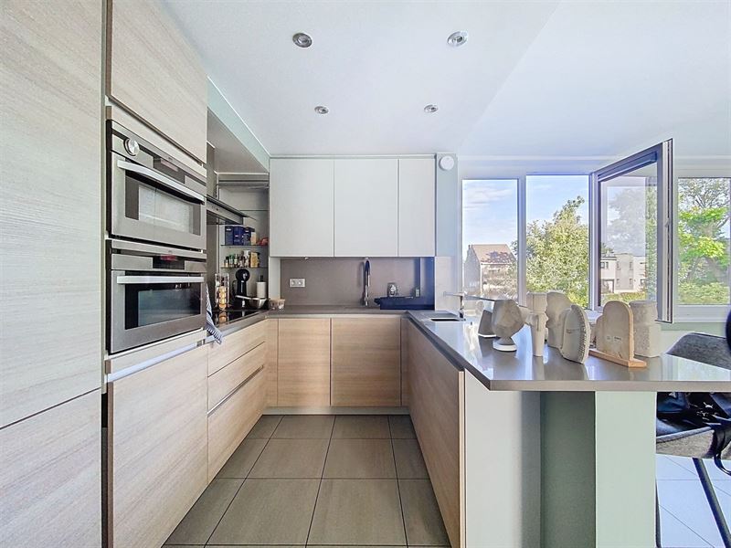 Bright renovated house