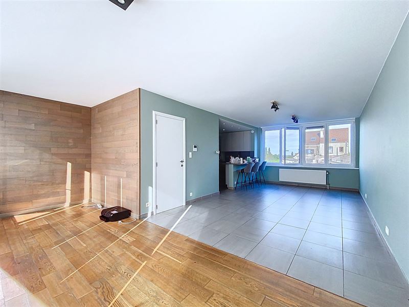 Bright renovated house