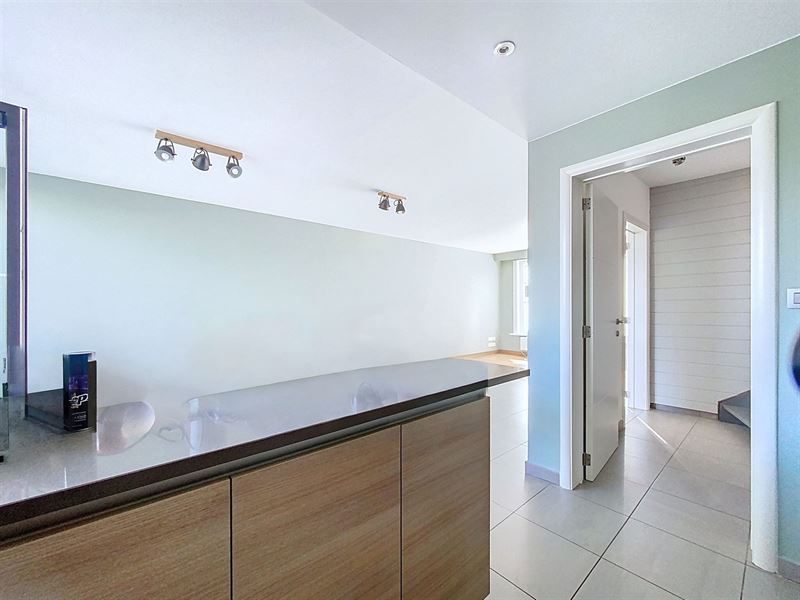 Bright renovated house