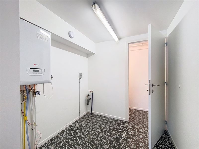 Bright renovated house