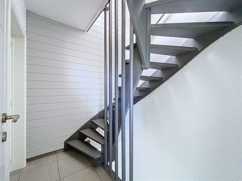 Bright renovated house