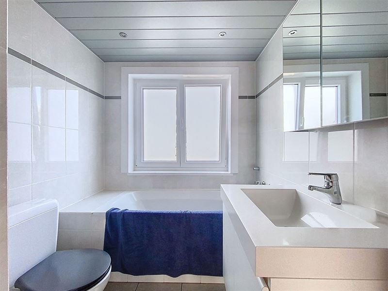 Bright renovated house