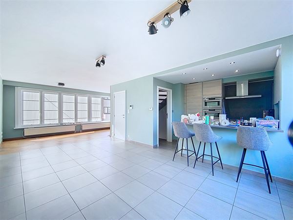 Bright renovated house