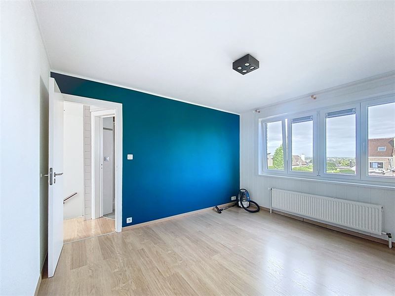 Bright renovated house