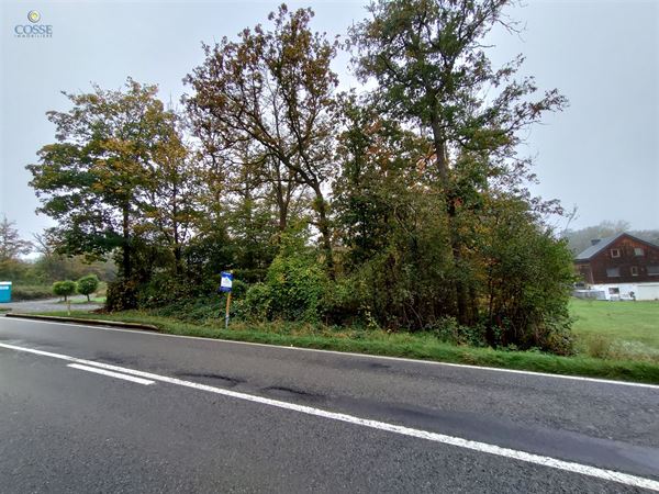 Terrain