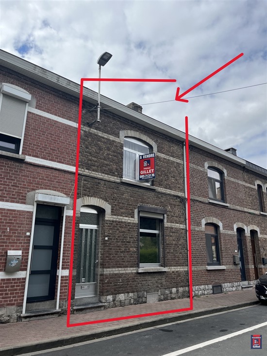 Maison de ville avec grand jardin