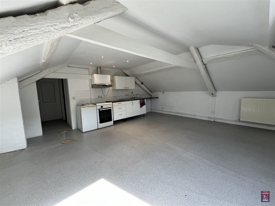 Bel appartement DUPLEX avec combles emménageables