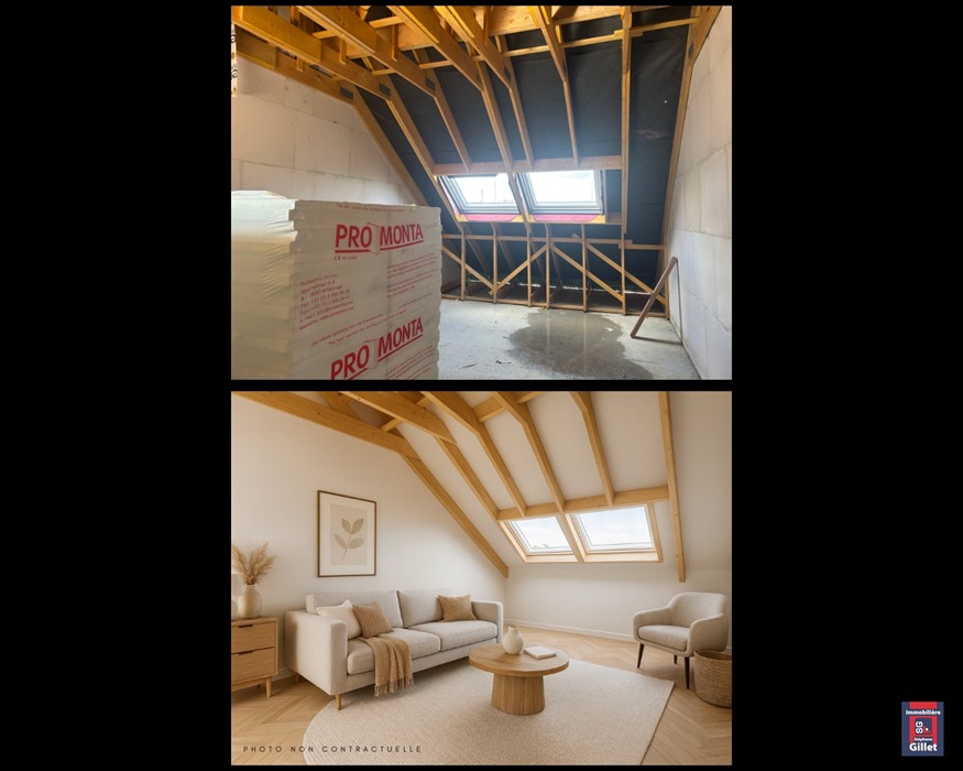 Magnifique appartement 2 chambres