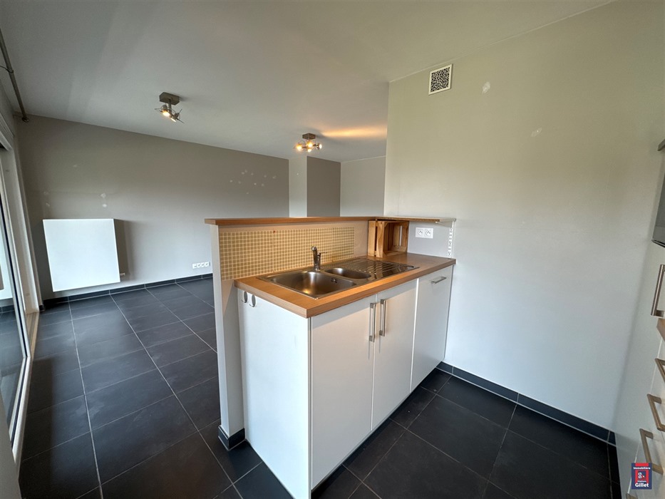 Agréable appartement 2 chambres à Seilles