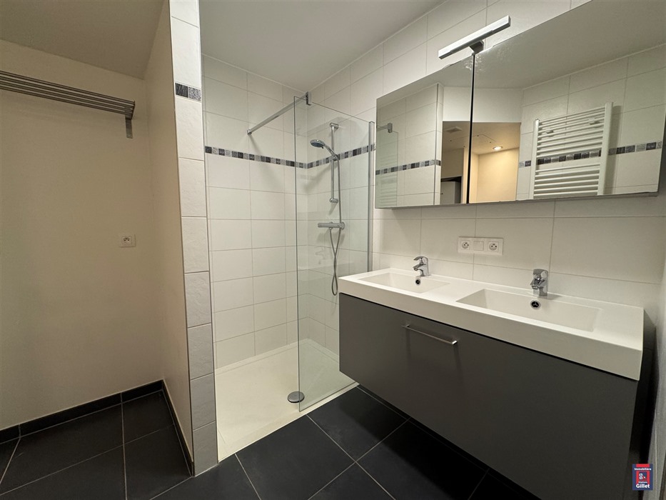 Agréable appartement 2 chambres à Seilles