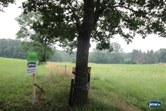 Prachtig perceel landbouwgrond van 2ha 27a20 gelegen in Bree, vrij van Pacht!