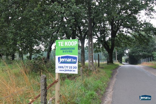 Mooi perceel landbouwgrond van 1ha 47a90 gelegen in Bree! Vrij van pacht!