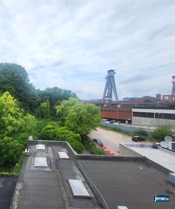 Opbrengsteigendom