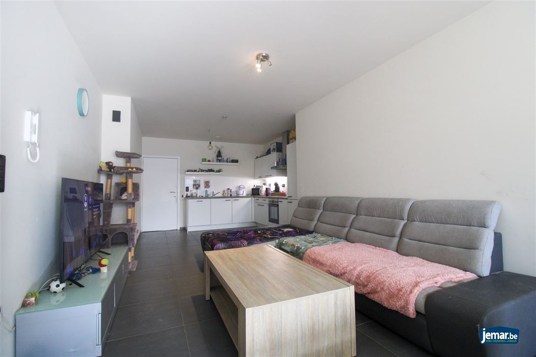 gelijkvloers appartement met 1 slaapkamer en ruim terras in Maasmechelen!