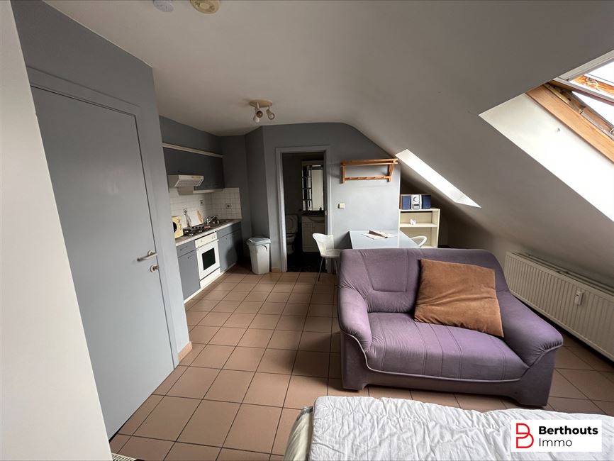 4 volledig verhuurde studio’s, 8 appartementen, 1 grote duplex