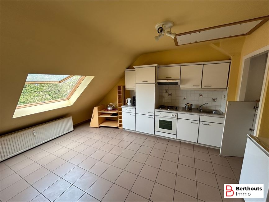 4 volledig verhuurde studio’s, 8 appartementen, 1 grote duplex