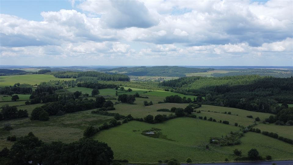 Terrain à NASSOGNE (0 chambre)