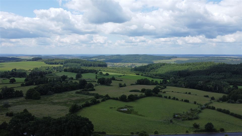 Terrain à NASSOGNE (0 chambre)
