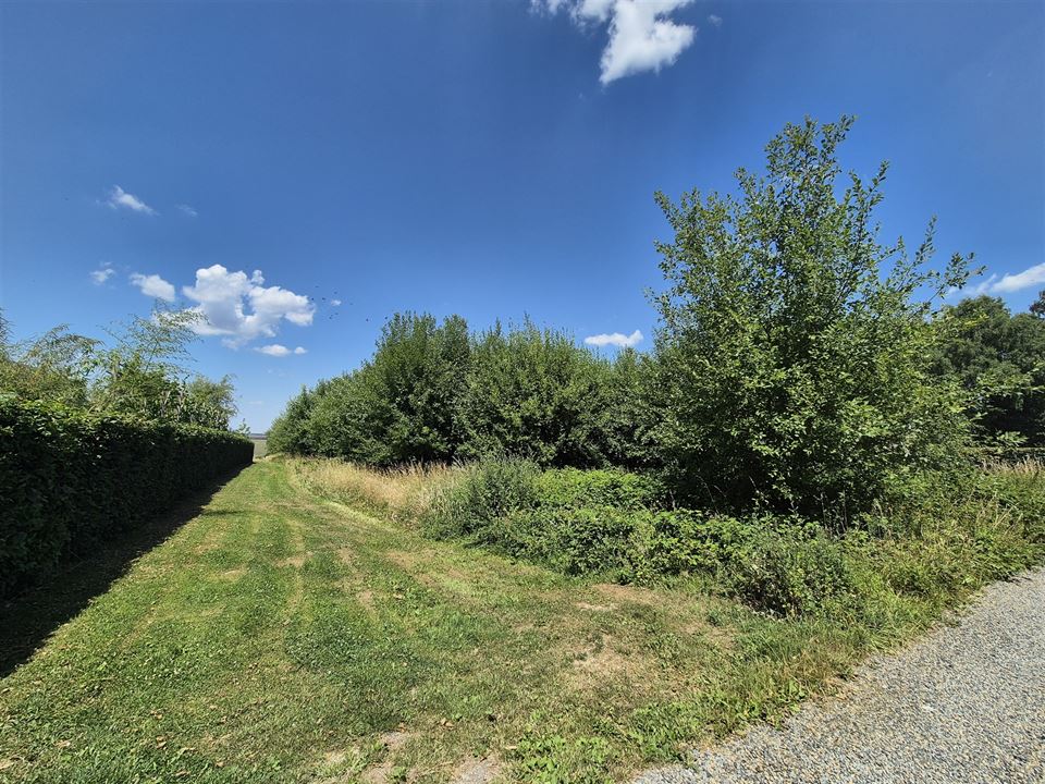 Terrain à DURNAL (0 chambre)