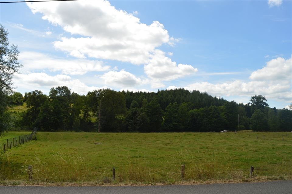 Terrain à TENNEVILLE (0 chambre)