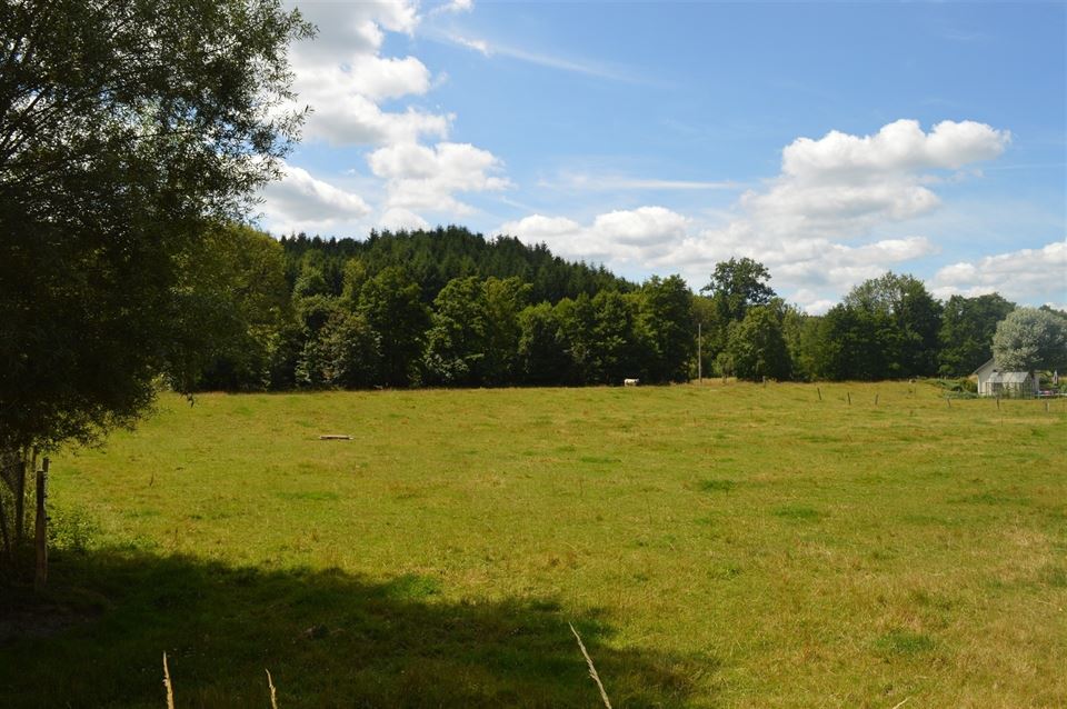 Terrain à TENNEVILLE (0 chambre)