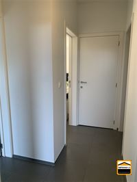 Appartement - BORGLOON