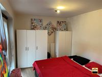 Appartement - TONGEREN-BORGLOON