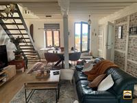 Duplex - TONGEREN-BORGLOON