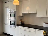 Appartement - TONGEREN-BORGLOON
