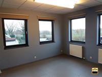 handelspand - TONGEREN-BORGLOON