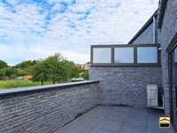 Duplex - TONGEREN-BORGLOON