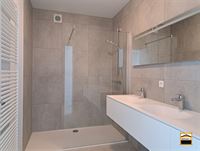 Appartement - TONGEREN-BORGLOON