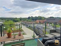 Appartement - TONGEREN-BORGLOON