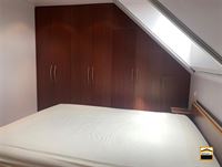 Appartement - TONGEREN-BORGLOON