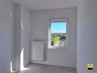 Appartement - TONGEREN-BORGLOON
