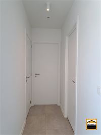 Appartement - TONGEREN-BORGLOON