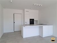 Appartement - TONGEREN-BORGLOON